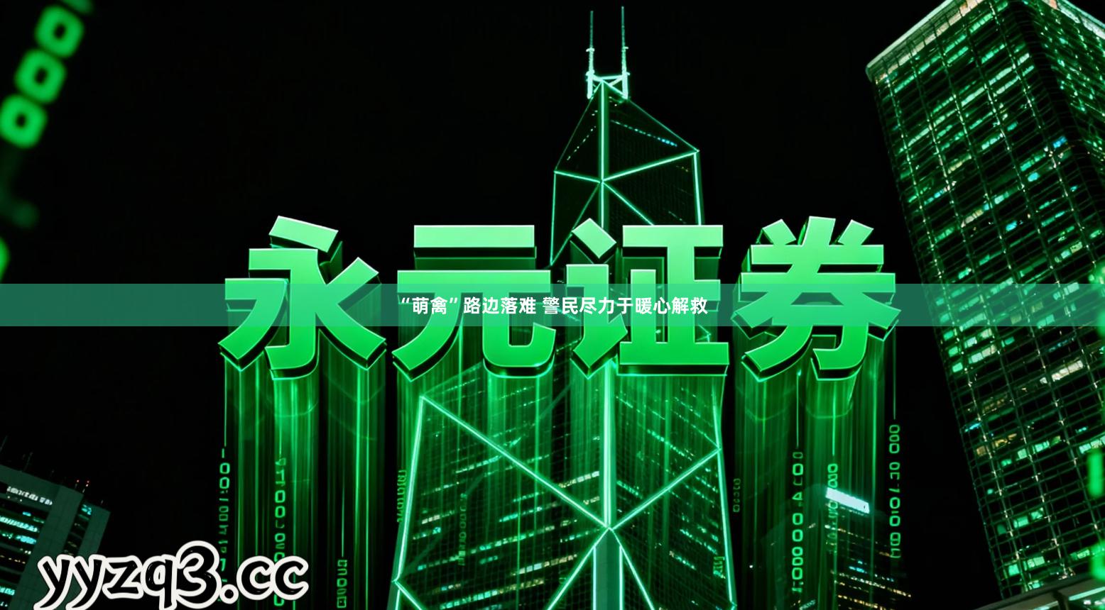 “萌禽”路边落难 警民尽力于暖心解救